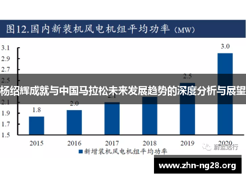 杨绍辉成就与中国马拉松未来发展趋势的深度分析与展望