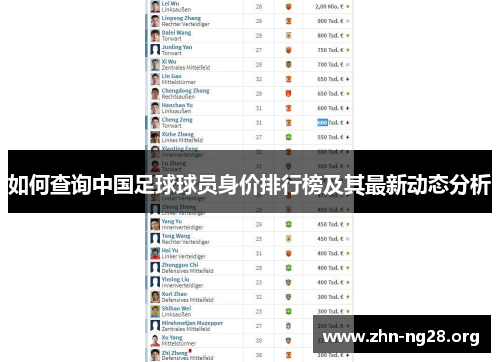 如何查询中国足球球员身价排行榜及其最新动态分析