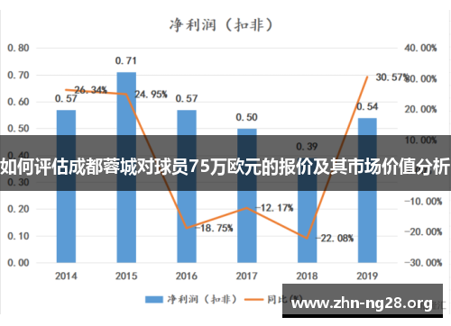 如何评估成都蓉城对球员75万欧元的报价及其市场价值分析