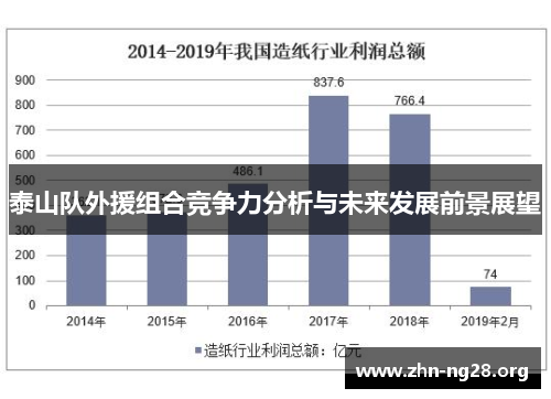 泰山队外援组合竞争力分析与未来发展前景展望
