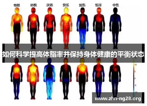 如何科学提高体脂率并保持身体健康的平衡状态