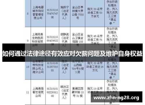 如何通过法律途径有效应对欠薪问题及维护自身权益