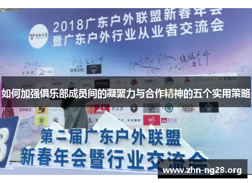 如何加强俱乐部成员间的凝聚力与合作精神的五个实用策略