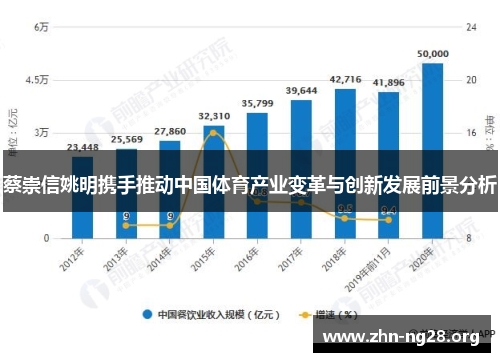 蔡崇信姚明携手推动中国体育产业变革与创新发展前景分析