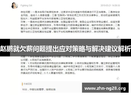 赵鹏就欠薪问题提出应对策略与解决建议解析