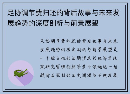 足协调节费归还的背后故事与未来发展趋势的深度剖析与前景展望