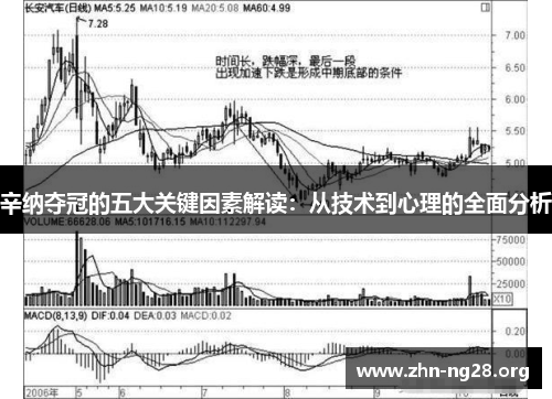 辛纳夺冠的五大关键因素解读:从技术到心理的全面分析 辛纳夺冠的五大关键因素解读:从技术到心理的全面分析