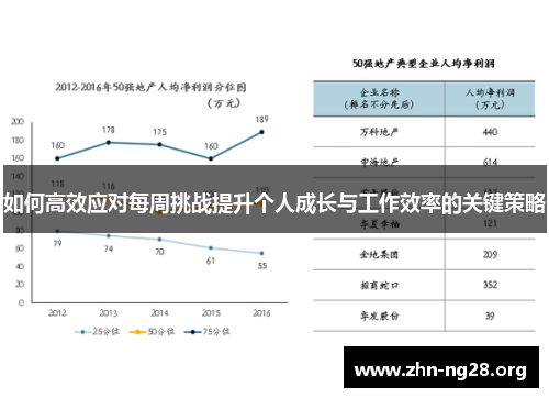 如何高效应对每周挑战提升个人成长与工作效率的关键策略